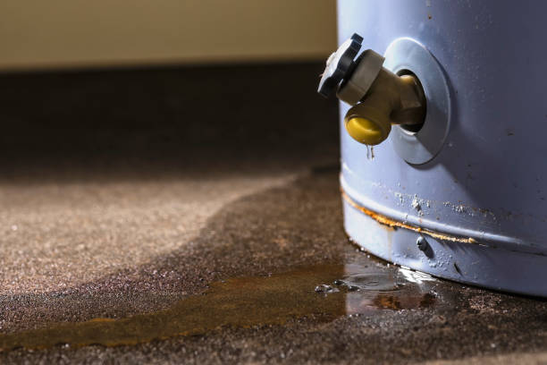 Best Carpet water damage restoration  in Ball, LA