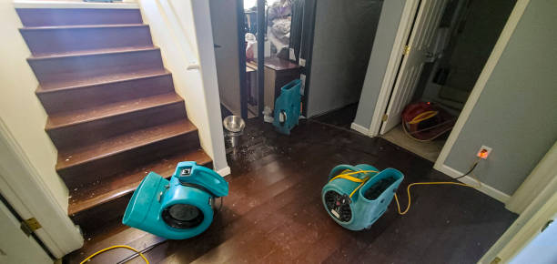 Best Water damage restoration specialists  in Ball, LA