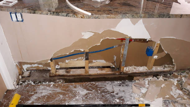 Best Carpet water damage restoration  in Ball, LA