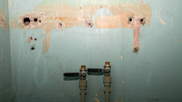 Best Sewage cleanup and water damage restoration  in Ball, LA