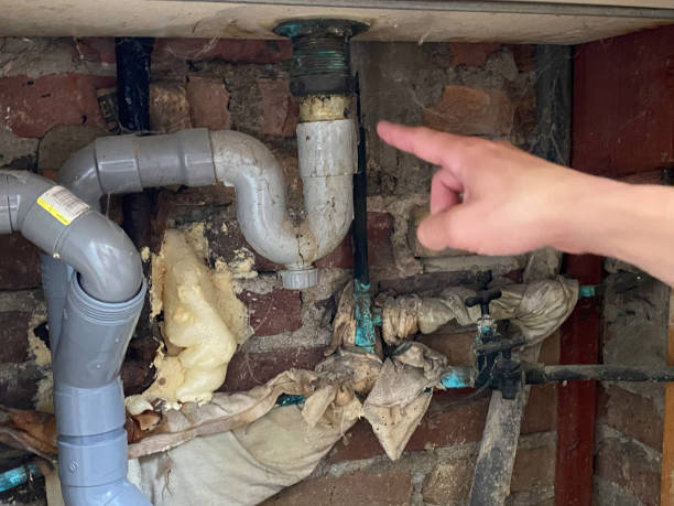 Best Commercial water damage restoration  in Ball, LA