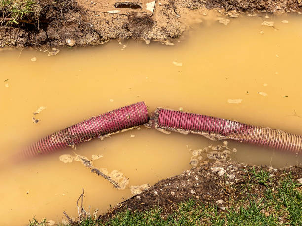 Best 24/7 water damage repair  in Ball, LA